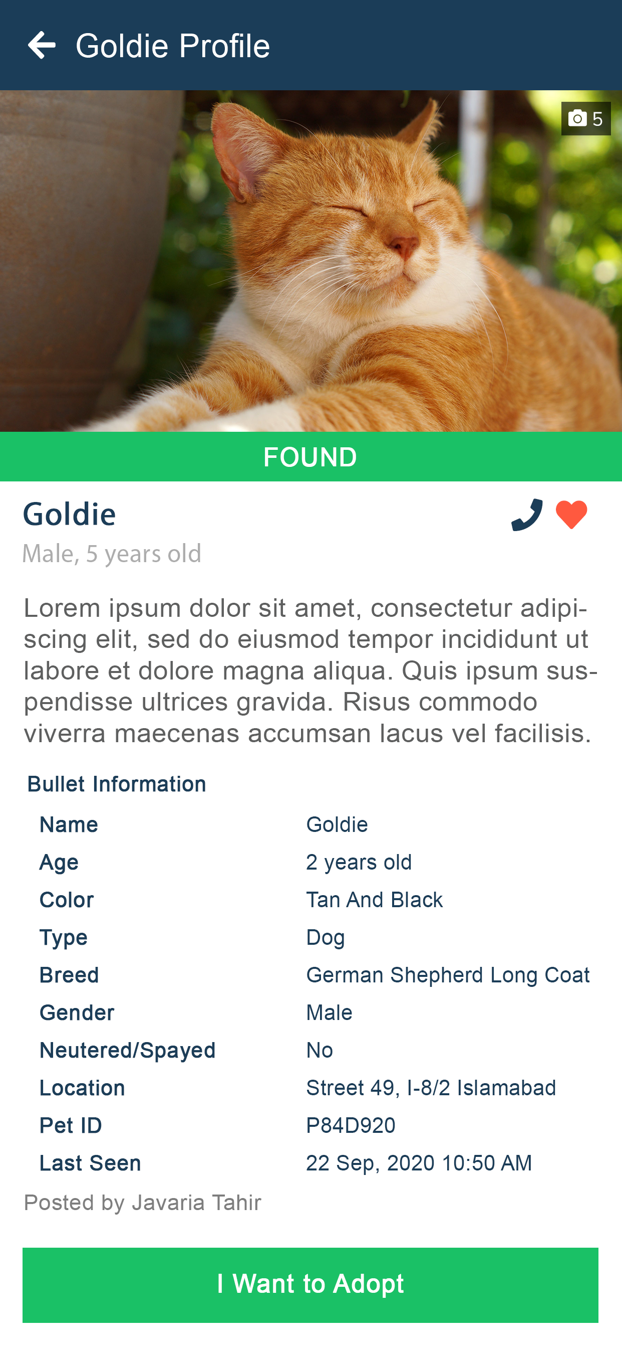 PetFinder App Screenshot 13