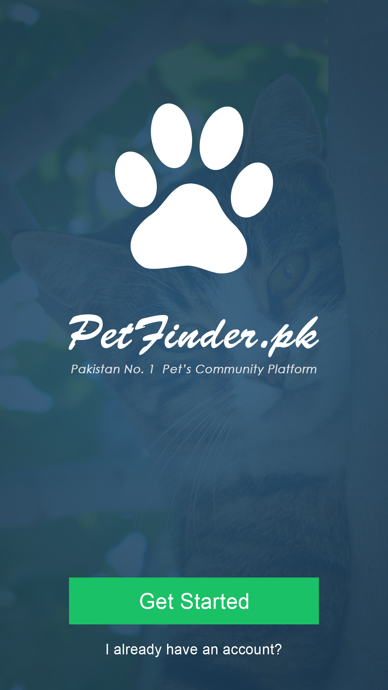 PetFinder App Screenshot 16
