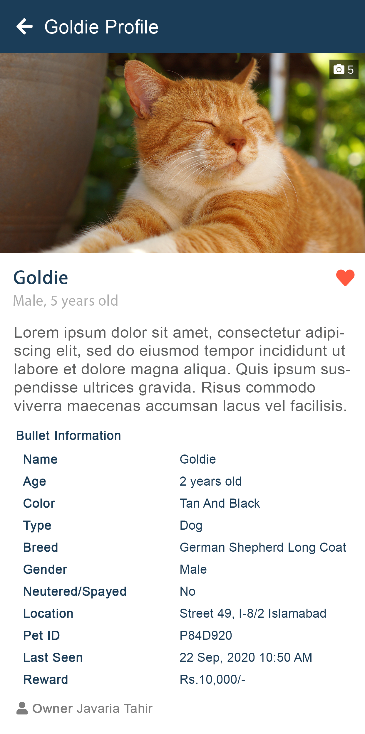 PetFinder App Screenshot 8